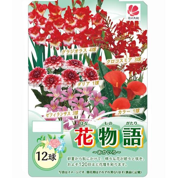 球根 花物語（春） あかいろ 12球セット