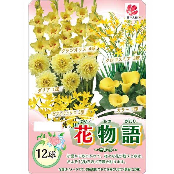 球根 花物語（春） きいろ 12球セット