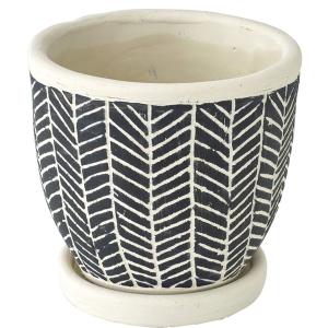 八角鉢 5寸 検/八角 プラ 鉢 アガベ鉢 台湾鉢 チタノタ titanota