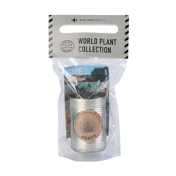 ギフトに 世界の植物　栽培セット：アガベ 世界各地の珍しい植物　タネから育てる栽培キット
