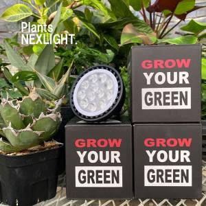 植物育成ライト　育成ライト EverSun365 エバーサン ブラック 24w 楽天市場】植物育成ライト EVERSUN365 24W クリップ/スタンド/ライト