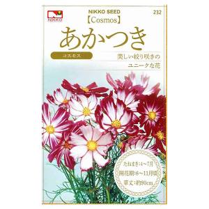 クリスマスローズ 花 種 タネ チベタヌス 5粒 宿根草 入手困難