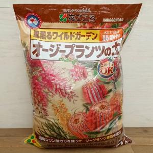 IBのチカラ グリーンそだちEX 1.4kg入り(化成肥料・10-10-10-1) : 園芸