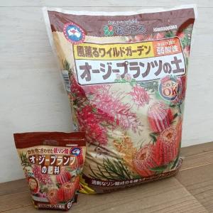 珪酸塩白土-ミリオンA 500g（ブロックシリコ） : 植物・園芸専門店