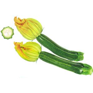 野菜の苗/ズッキーニ：花ズッキーニ スター3号ポットの商品画像