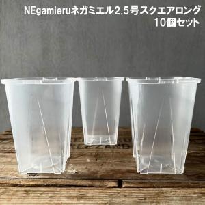 スリット鉢(透明) ネガミエル2.5号スクエアロ...の商品画像