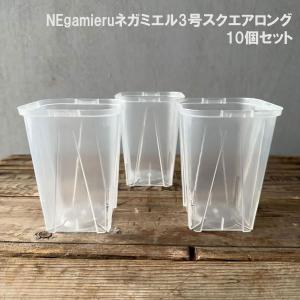 スリット鉢（透明）：ネガミエル3号スクエアロング10個セット｜engei