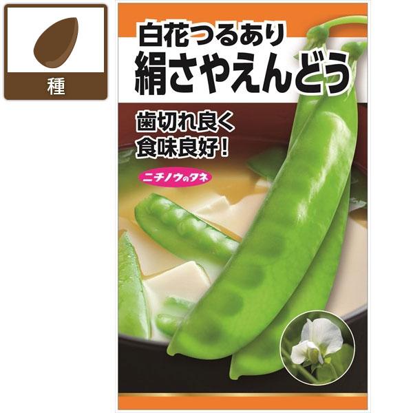 エンドウ：絹莢えんどう(つるあり・白花) 野菜タネ　秋まき（寒地は春まき）
