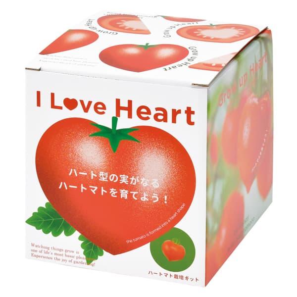 ギフトに ハートの実がなる　ハートマト栽培キット