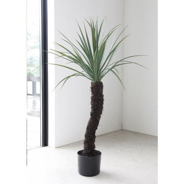 ユッカ・ロストルータ（LG-08）