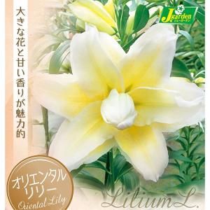球根 26年10月中下旬予約 ユリ 八重咲きオリエンタルリリー ルドビナ1球入り