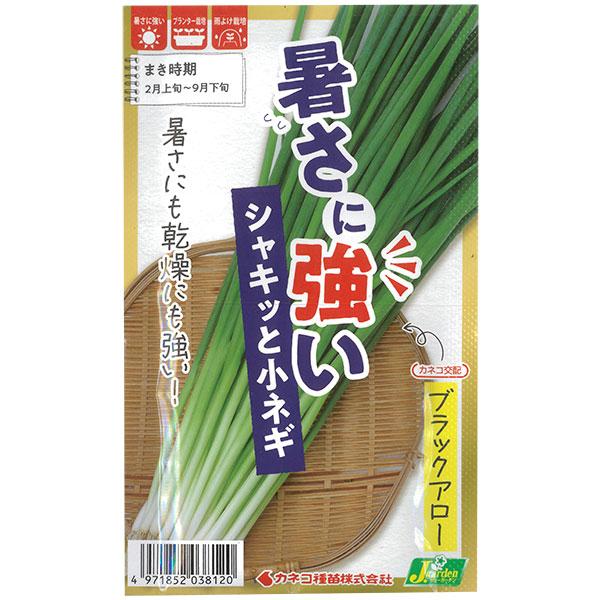 有効期限26年10月 ネギ 暑さに強い シャキッと小ネギ ブラックアロー 春-秋まき 野菜タネ *