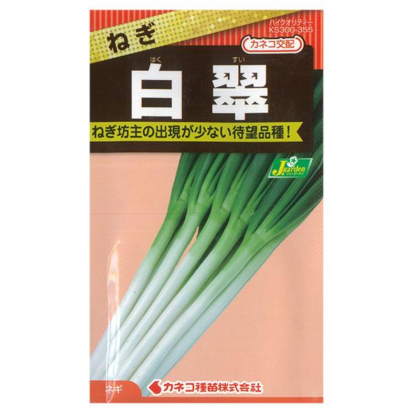 ネギ 白翠（はくすい） 野菜タネ 秋、春まき