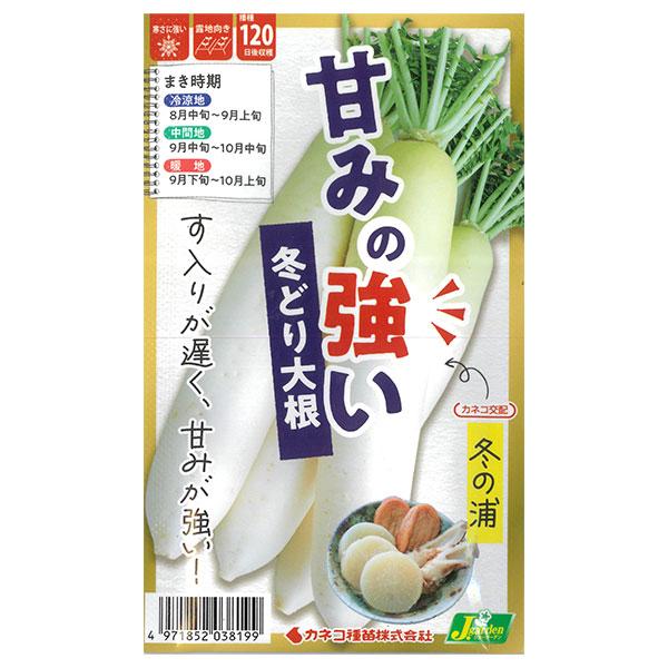 ダイコン 甘味の強い冬どり大根 冬の浦 野菜タネ