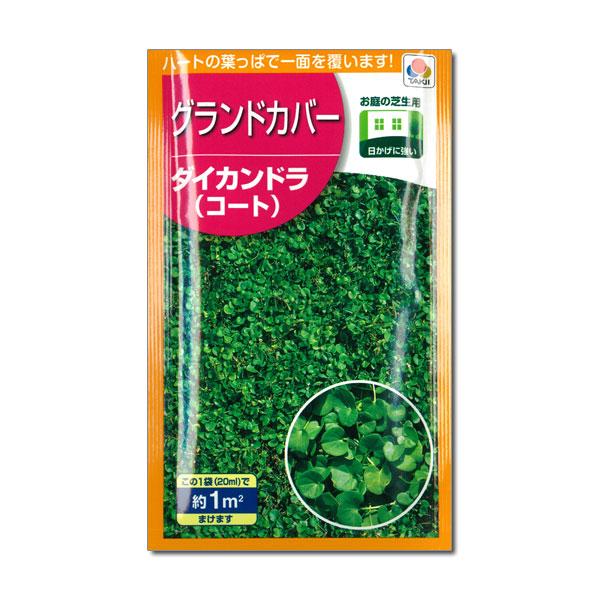 ダイカンドラ 1平米分（20ml） 2袋セット タネ