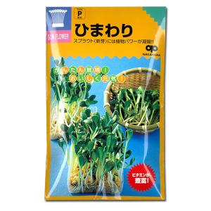 有効期限26年05月 モヤシの種（スプラウト栽培用） ひまわり（姫ひまわり） タネ