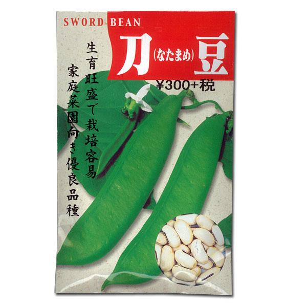 刀豆（なたまめ・鉈豆）（白刀豆　白鉈豆） 福神漬・ヌカ漬・みそ漬に！野菜タネ