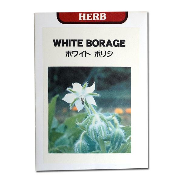 ボリジ ホワイトボリジの種