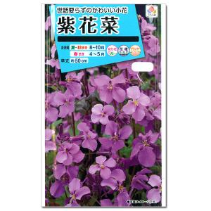 ムラサキハナナ（紫花菜）の種 タキイ 花タネ｜engei