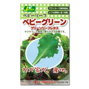 ベビーリーフの種 ベビーグリーン グリーンリーフレタス（グリーンスパン） タネ