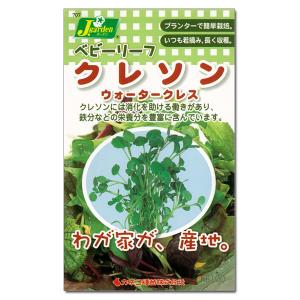 ベビーリーフの種 クレソン ウォータークレス(ク...の商品画像