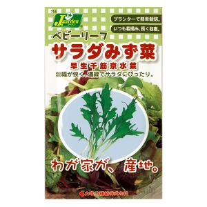 ベビーリーフの種 サラダみず菜 早生千筋京水菜 タネ