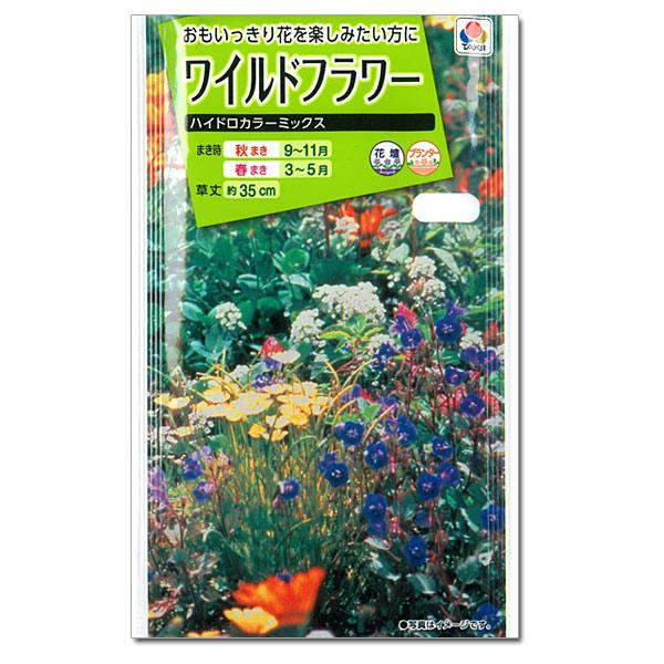 ワイルドフラワー ハイドロカラーミックスの種 タキイ 花タネ
