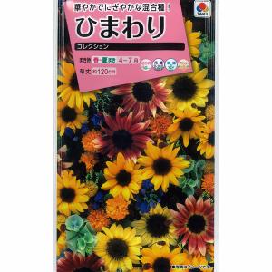 ヒマワリ ひまわりコレクション タキイ 花タネ : 園芸ネット - 通販