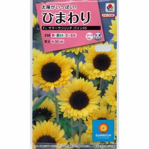 ヒマワリ：F1サマーサンリッチパイン45 タキイ 花タネ｜engei