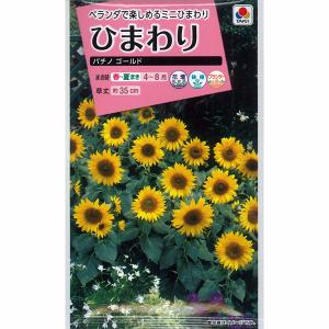 ヒマワリ ひまわりコレクション タキイ 花タネ : 園芸ネット - 通販