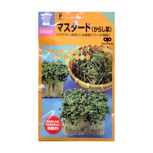 有効期限26年03月 モヤシの種（スプラウト栽培用） マスタード（からし菜） タネ
