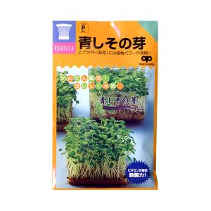 （わけあり特価） 有効期限26年04月 モヤシの種（スプラウト栽培用） 青しその芽 タネ