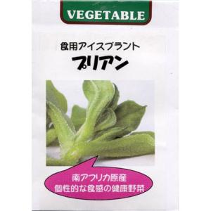 食用アイスプラント プリアン 野菜タネ
