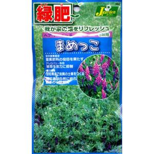 ヘアリーベッチ：まめっこの種50ml入り タネ 秋まき 春まき