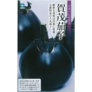 ナス 賀茂茄子（大丸茄子）* 野菜タネ
