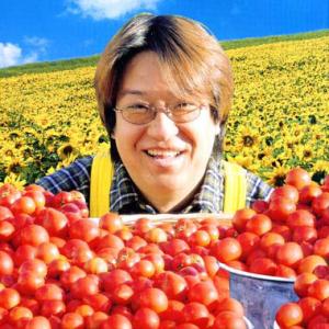 野菜の苗/トマト（中玉）：坂本さんのフルーツトマトの苗3号ポット2株セット