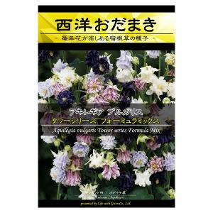 オダマキ 種の商品一覧 通販 Yahoo ショッピング
