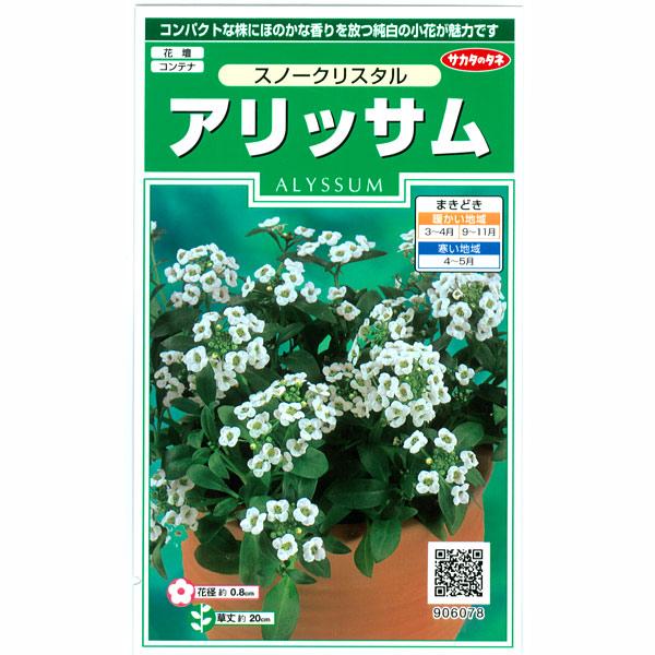 アリッサム：スノークリスタルの種 サカタ　花タネ
