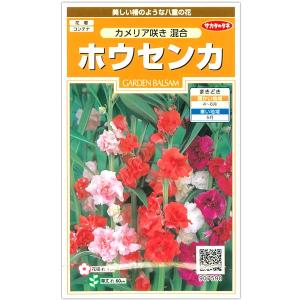 ホウセンカ カメリア咲き混合 サカタ 花タネ