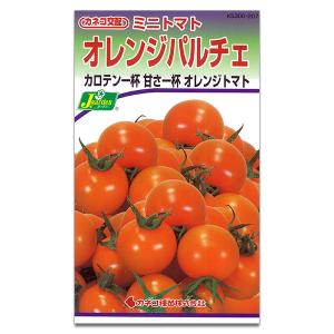 ミニトマト：オレンジパルチェ 野菜タネ *｜engei