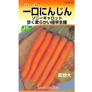 ニンジン種 一口にんじん ソニーキャロット 野菜タネ
