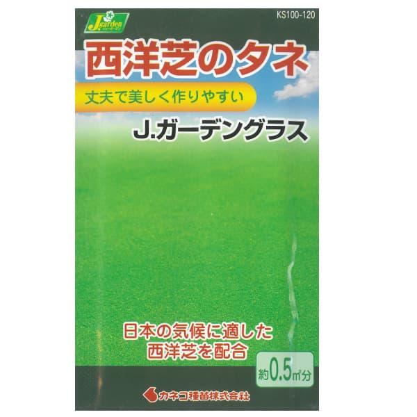 芝の種（西洋） Jガーデングラス小袋（約0.5平方メートル分）