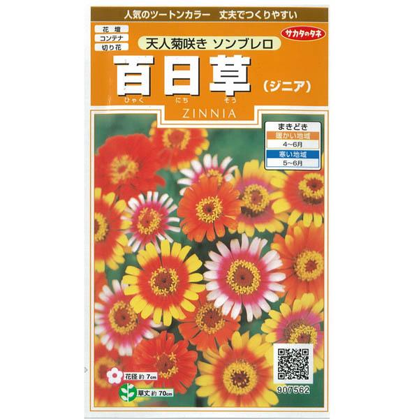 ジニア：ソンブレロ　の種 サカタ　花タネ