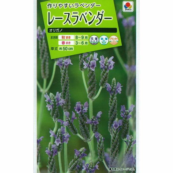 ラベンダー：レースラベンダー オリガノの種 タキイ 花タネ