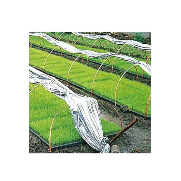 シルバーポリトウ水稲用　＃80　厚さ0.05mm×幅230cm×長さ50m(ダブル折)