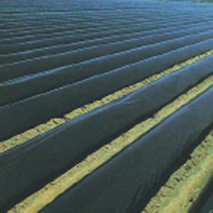 マルチシート nns_5008610000033