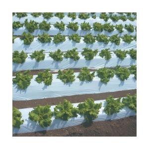 果樹袋もも袋 キラメキ6 165mmX196mm 4000枚セット : 園芸商人 - 通販