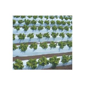 マルチシート 農業用マルチシート 国産オリジナル白黒マルチ（無孔） 長さ200m×厚さ