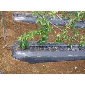 農業用マルチシート メデルシート 黒822×長さ200m 5本セット : 園芸