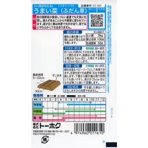 フダンソウの種 うまい菜 (ふだん草) 15m...の詳細画像1